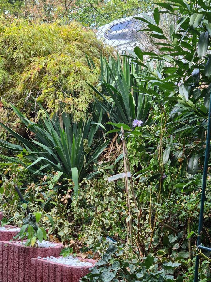 Cozy Room With A Beautiful Garden View Баунатал Екстериор снимка