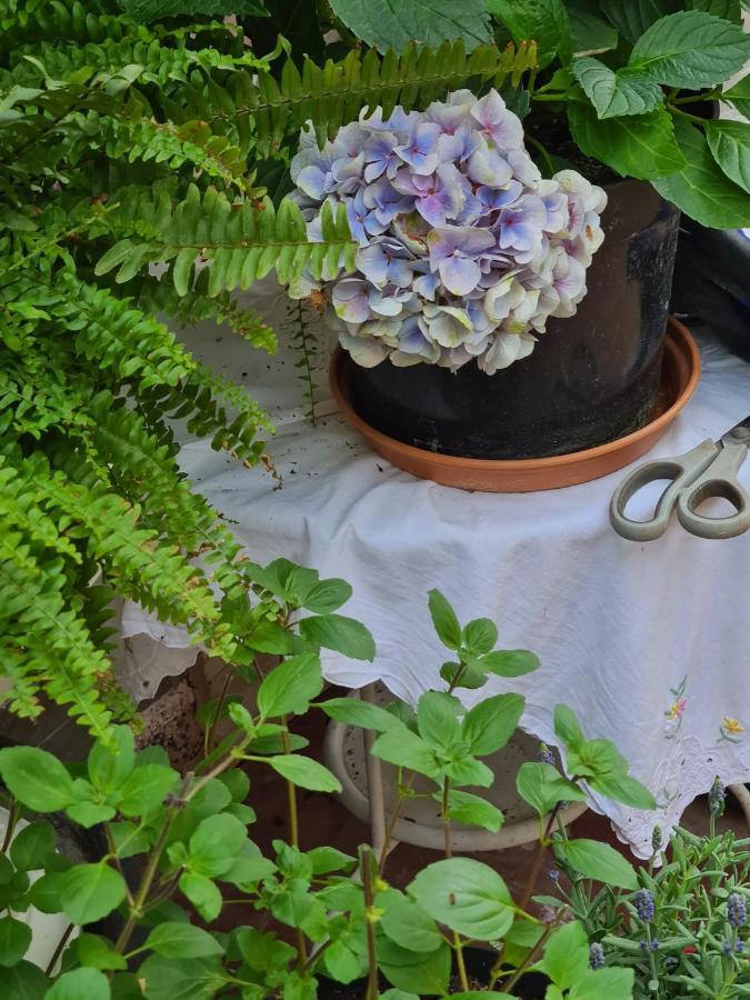 Cozy Room With A Beautiful Garden View Баунатал Екстериор снимка